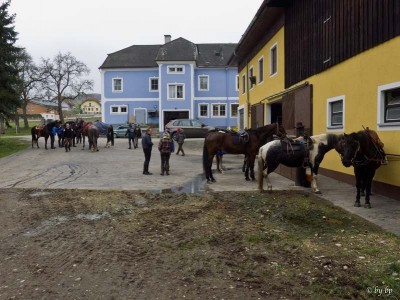 geburtstagsritt_fred_092