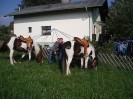ausritt_entner_29