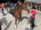 wanderreiten_2009