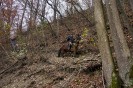 geburtstagsritt_fred_138