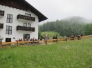 img_4368