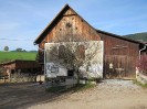 Wanderreiten Teichalm :: teichalm_wanderreiten_83