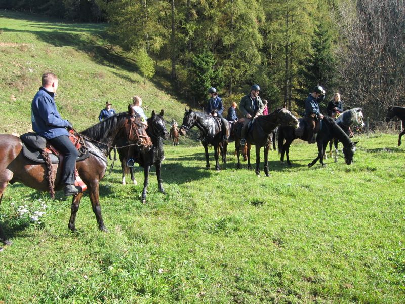 wanderreiten teichalm wir 010