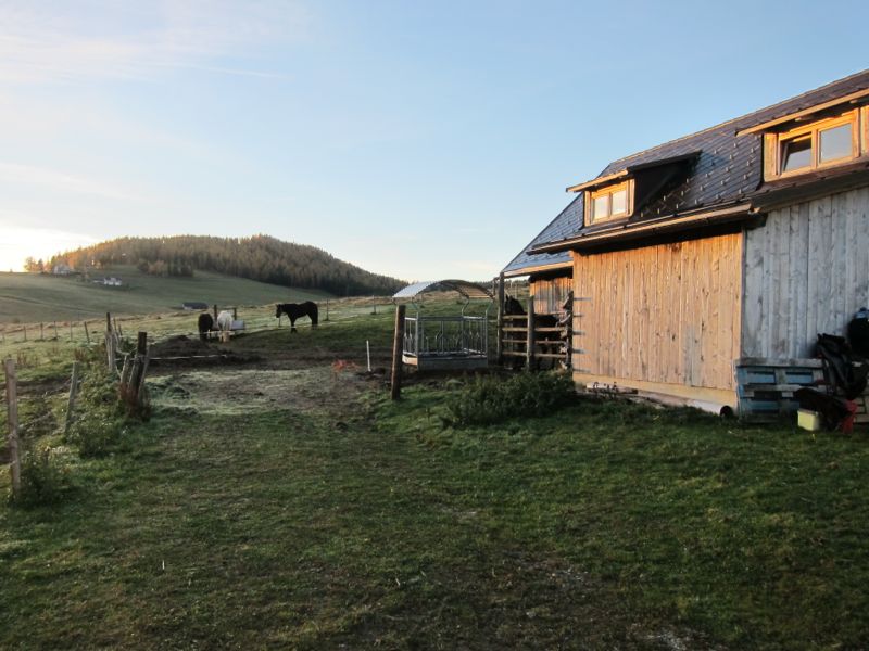 wanderreiten teichalm wir 042