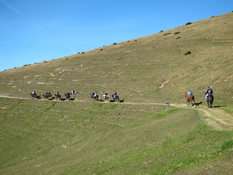 wanderreiten teichalm wir 079